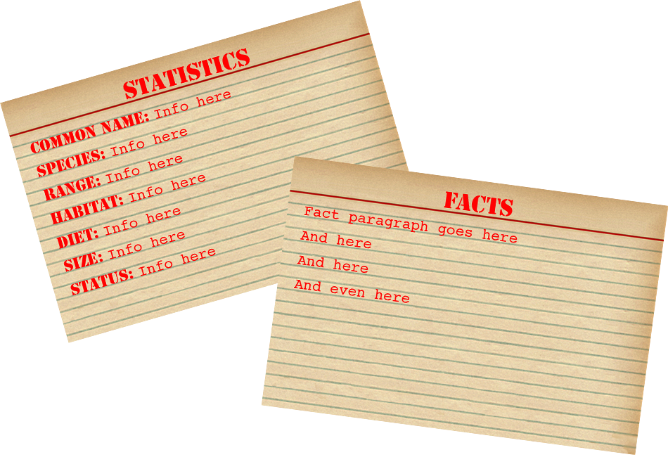 Cuban Boa Stats and Facts